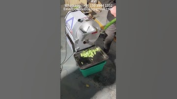 Fully automatic and efficient cucumber slicer  #cucumber #cuttingmachine