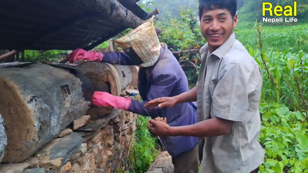 Traditional Honey Hunting in Nepali Village style | Real Nepali Life | Nepal |
