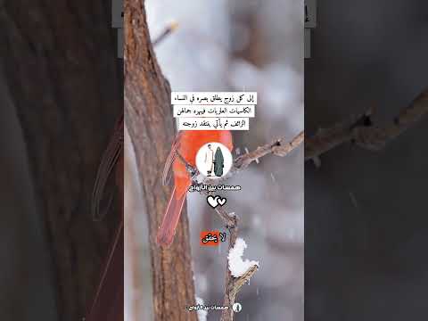 إلى كل زوج يطلق بصره في النساء الكاسيات العاريات فيبهره جمالهن الزائف ثم يأتي ينتقد زوجته