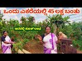        farming in kannada  pomegranate farming in karnataka  dalimbe