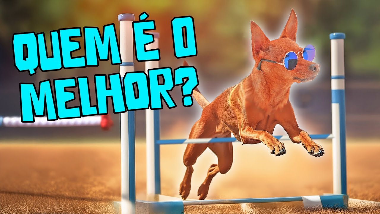 QUEM É O MAIS OBEDIENTE, INTELIGENTE, ÁGIL E ESPERTO?