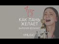 Как Лань Желает - Валерия Величко | Acoustic | #cogmosmusic
