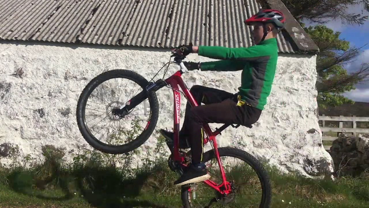 wheely 10 wheely 10