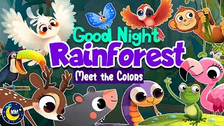 Goodnight Rainforest | Meet the Colors | Bedtime stories 3 years old | Say Goodnight to the Animals
