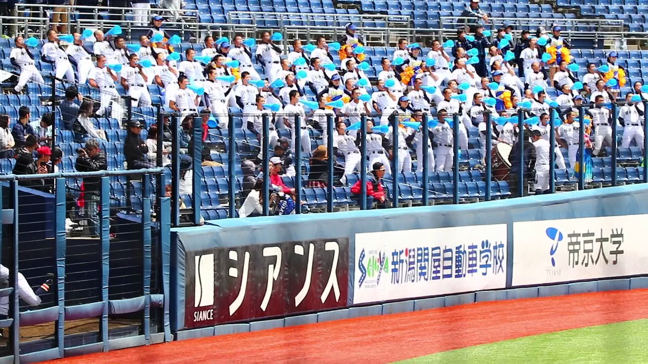 日本文理⚾応援(H29.6)