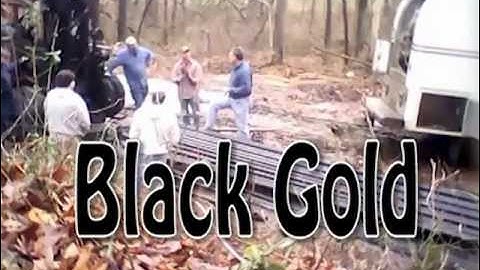 UIG - Universal Investment Group - 9277 Perf. Black Gold