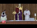 Misa del Papa en Erbil: "La Iglesia en Iraq está viva"