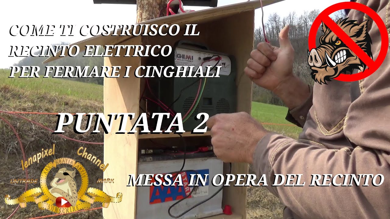 costruzione recinto elettrico nel noccioleto contro i cinghiali, puntata 2 messa in opera
