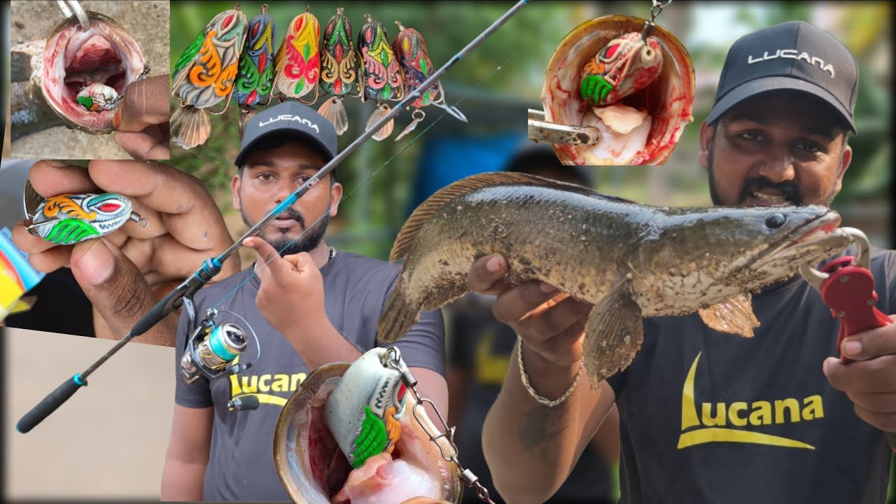 LUCANA KIO 7g New Frog lure Testing & Introducing LUCANA Ghost Blade Rod & LUCANA Black Tetra Reel