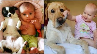 😂 Bebes Jugando con Perritos 🐶tiernos [MUY DIVERTIDO] 😂 by Mascotas Chistosas y Divertidas 10,028 views 3 years ago 11 minutes, 5 seconds