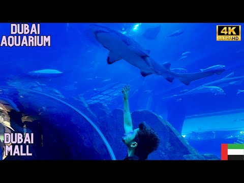 "Exploring the Majestic Dubai Mall Aquarium and Underwater Zoo"🦈 || Dubai Mall Tour 4K ||