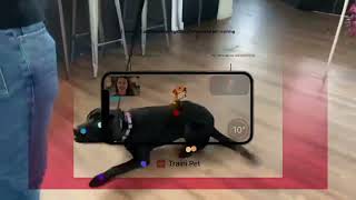AI   Dog training from home. screenshot 2