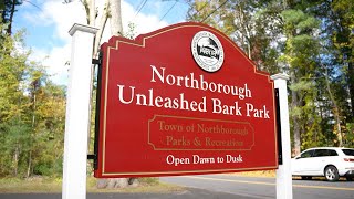 Northborough Unleashed Bark Park: Full Tour