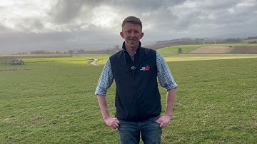 Report: From Beans to Bugs – Alternative Proteins to Drive Net Zero Egg Production