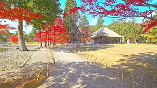 4K・ Exploring National Treasures and Autumn Foliage in Hiraizumi, Iwate・4K HDR