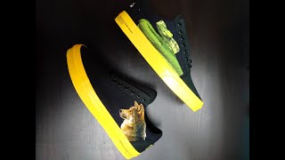 Unboxing: Vans X National Geographic Photo Ark Old Skool