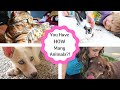 Watch This If You Have Dogs And A Baby!