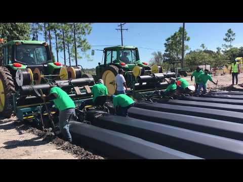 Video: Strawberry Plantage Care