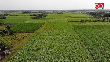 Đề nghị miễn thuế sử dụng đất nông nghiệp đến năm 2030