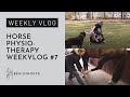 Why do dressage horses need physio? | Begijnhoeve | Weekvlog #7 part 1