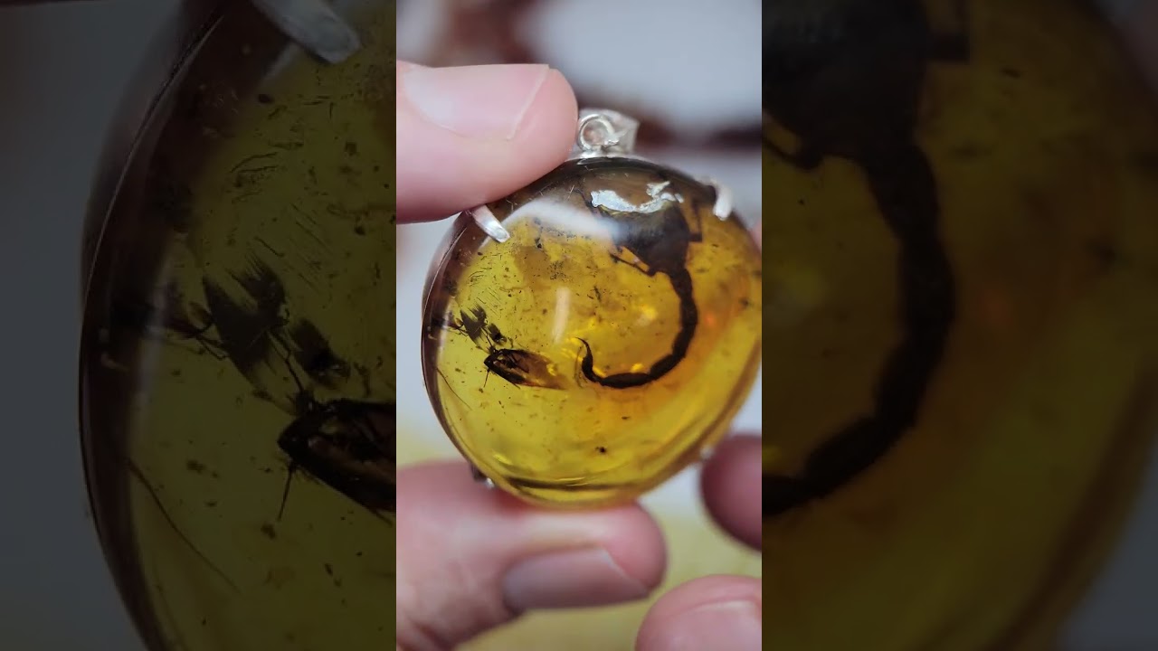 Подробный обзор янтарных украшений