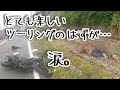 【 ＃バイク事故 】楽しいツーリング中に廃車コースなプリウスミサイル喰らいました・・・第3者視点ver【女子ライダー】