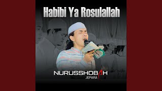 Bimaulidil Hadi (Hadroh)