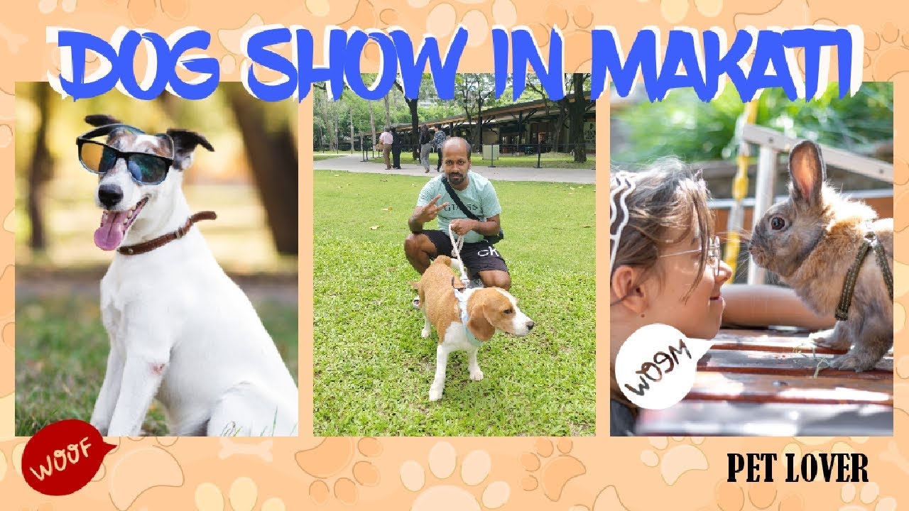 Dog Show At Makati | Ayala Triangle| | Kassey Award Winner 🐶🐕 
