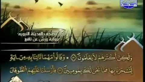 الجزء التاسع 09 من القرآن الكريم بصوت الشيخ العيون الكوشي   برواية ورش عن نافع