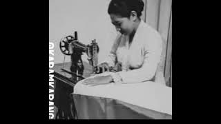 Ibu Pertiwi Story WA