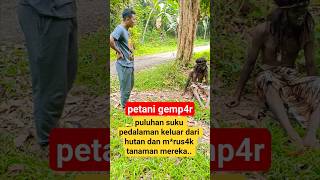 Puluhan Suku Pedalaman Keluar Dari Hutan Dan Mrus4k Tanaman Petani