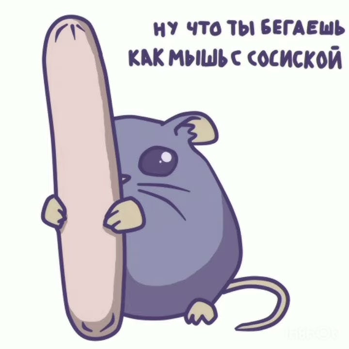 Слушать песню мышка сосиска. Мышка сосиска. мемы мышка сосиска. сосиска мышка сосиска. мышка сосиска крыска ириска кот бутерброд авокадо бегемот.