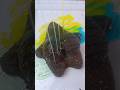 #Toolstrackt #ScrewHack #ToolTips #MechanicTricks DIYIndia FittingFix WorkshopTools smartrepai