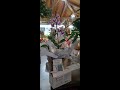 Bio Sachê Orquídeas Vila Verde - Nunca foi tão fácil adubar suas orquídeas! @vilaverde5991