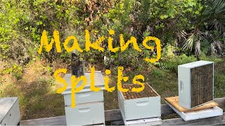 Simple way of doing a split with multiple hives. Hope it works