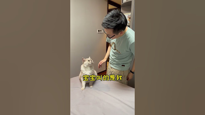 Cat and Baby  难道一切都是我自作多情？🤣🐱#shorts #cat #catandbaby