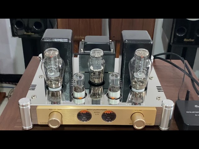 BoyuuRange A50 MKIII 300B Single-end Class A Tube Intergrated