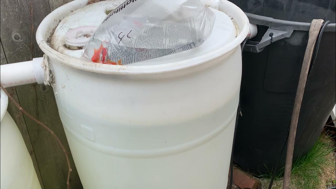 How to keep mosquitoes out of your rain barrel YouTube