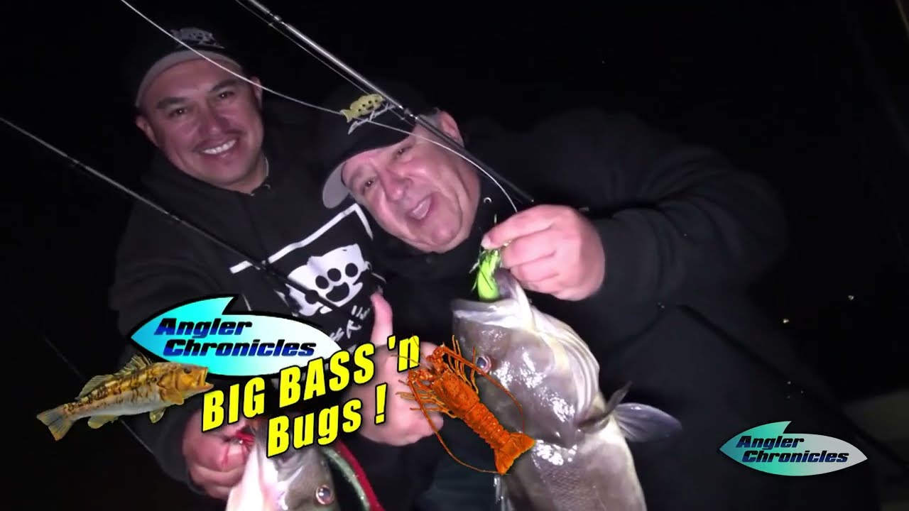 Big Bass 'n Bugs