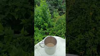 Weather In Bareilly This Morning