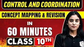 CONTROL AND COORDINATION in 60 Minutes | Science Chapter 7 | Class 10th CBSE Board