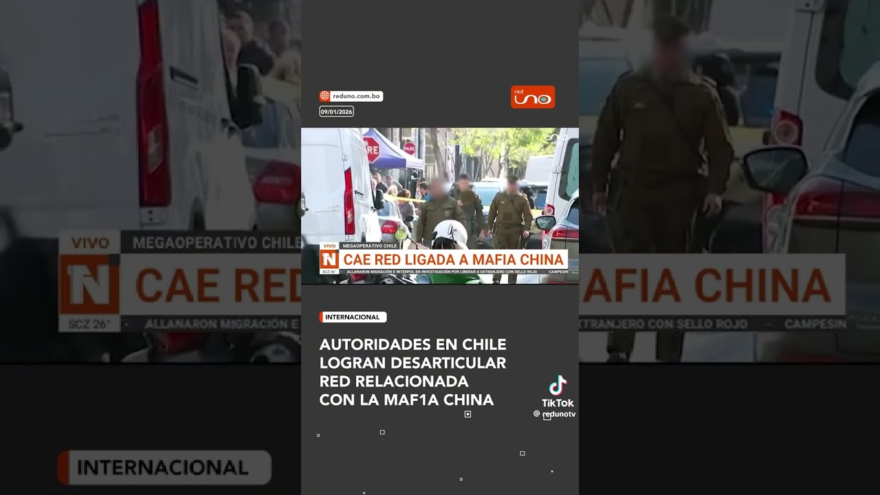Desbaratan a Red de Mafia  China en Chile