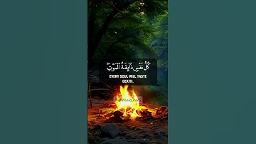 يَا عِبَادِيَ الَّذِينَ آمَنُوا | تلاوة هادئة من سورة العنكبوت بصوت عبدالرحمن مسعد