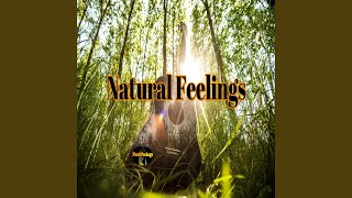 Video thumbnail of "Phatt Package - Natural Feelings"