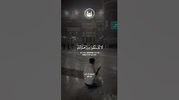 سوره مبارکه زمر آیه 53-57 سعود الشوریم تلاوت قرآن آرامبخش #قرآندی