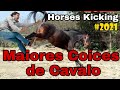 COICES DE CAVALOS - TOP 20 / Horses Kicks 2021