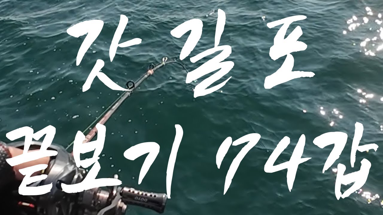 74갑 끝보기 영상 시작합니다. 삼길포 동성호