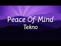 Peace Of Mind Tekno Lyric Video Peace Of Mind Tekno Lyric Video