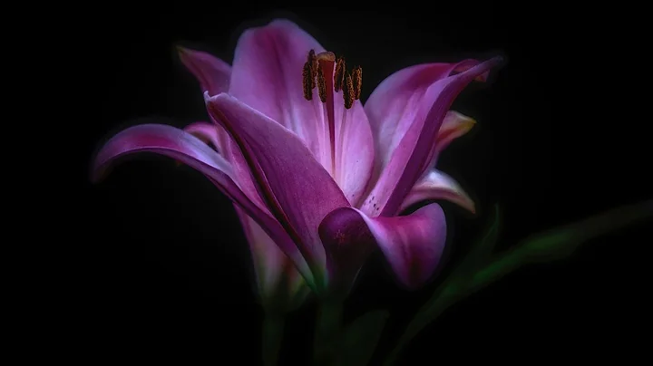 On the Power of Positive Empathy in Consensual Non-Monogamy with Dr. Marie Thouin & Dr. Roger Kuhn