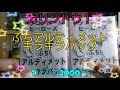 カリントウさんのぷちアルティメットキラキラパック1パック2000円！5パック開封！どのような内容なのか？！